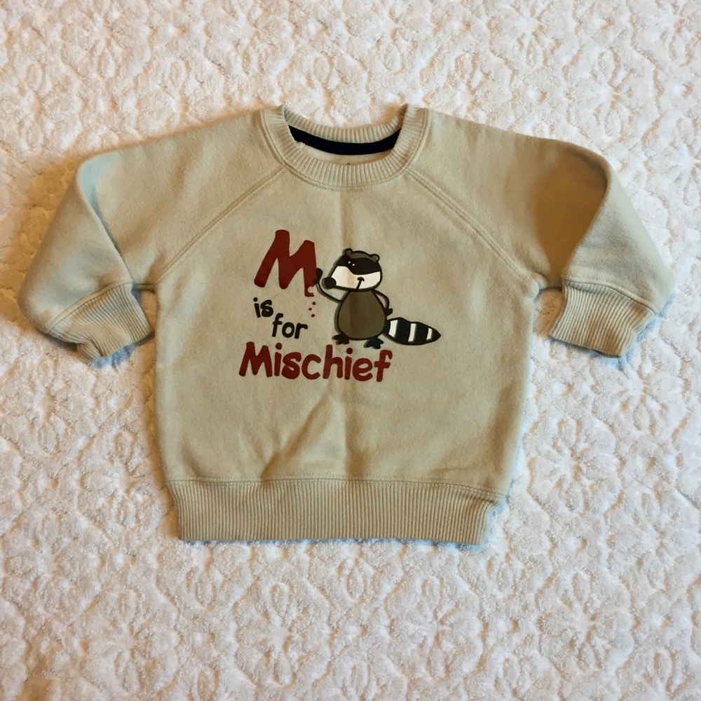 Cream Sweatshirt w/ “M is for Mischief” Raccoon!